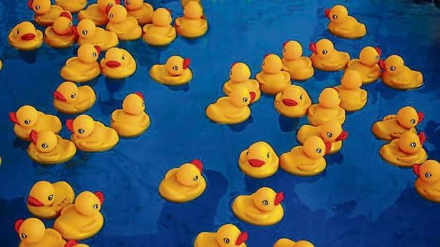 In 1992, a US-bound container vessel from China tipped over in the North Pacific. The ship was carrying 28,000 rubber duckies and other bath toys. They’ve stayed merrily bobbing, going where ocean waves take them.(Getty Images/iStockphoto)