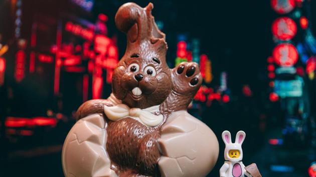 Bunnies come to the rescue as virus hits Belgian chocolatiers. (REPRESENTATIONAL IMAGE)(Unsplash)