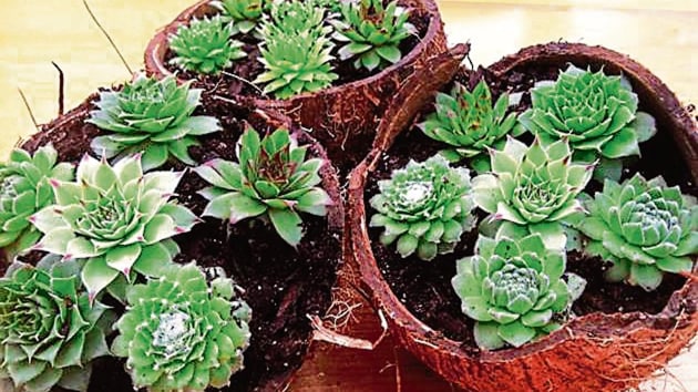 Life in the times of lockdown: Here’s how to turn something old into