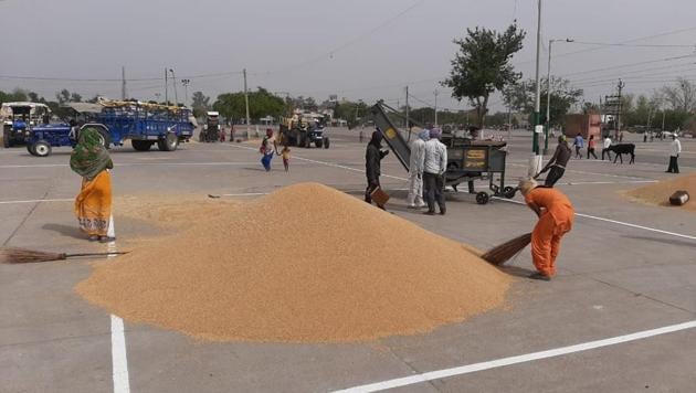 Precautions in place, Punjab begins exercise to procure 130 lakh tonnes wheat | Hindustan Times