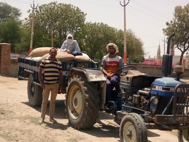 Farmers bringing mustard to Bhiwani’s Mitthi purchase centre on Wednesday. (HT PHOTO) Farmers bringing mustard to Bhiwani’s Mitthi purchase centre on Wednesday. (HT PHOTO)