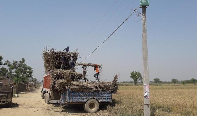A farmer in Bahraich getting his sugarcane harvest loaded on a truck for sending it off to a sugar mill (Pankaj Jaiswal_HT) A farmer in Bahraich getting his sugarcane harvest loaded on a truck for sending it off to a sugar mill (Pankaj Jaiswal_HT)
