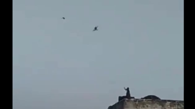 The image shows a monkey playing with a kite.(Twitter/@susantananda3)