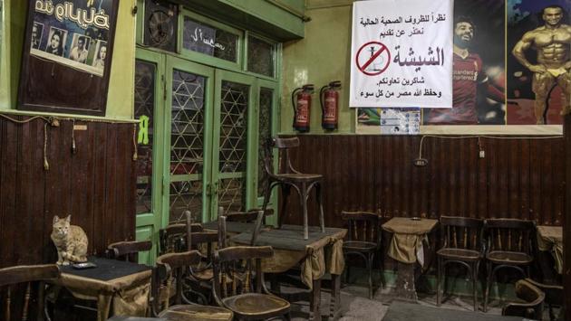 A cat seen inside a closed coffee shop in Cairo. The lockdown seems particularly cruel for those who were just recently seeing an improvement in living conditions after the downturn that followed the country’s 2011 uprising. (Nariman El-Mofty / AP) A cat seen inside a closed coffee shop in Cairo. The lockdown seems particularly cruel for those who were just recently seeing an improvement in living conditions after the downturn that followed the country’s 2011 uprising. (Nariman El-Mofty / AP)
