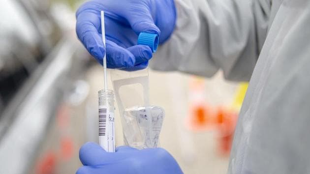 The ICMR said on Wednesday that the Sars-CoV-2 virus got transmitted to humans in a mutated form from bats. (AP Photo) The ICMR said on Wednesday that the Sars-CoV-2 virus got transmitted to humans in a mutated form from bats. (AP Photo)