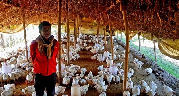 Poultry farmers suffered huge losses when the situation worsened after infections were recorded in India, and consumption of chicken fell by 80%.(HT Photo)