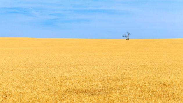 Spain distills and spreads joy quite unlike any other place I’ve been—merrymaking is practically a national sport. (Unsplash) Spain distills and spreads joy quite unlike any other place I’ve been—merrymaking is practically a national sport. (Unsplash)