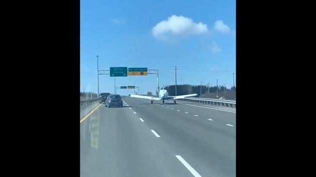 The small landed amid the traffic and slowly moved to one side. (Twitter/@Lauthfee) The small landed amid the traffic and slowly moved to one side. (Twitter/@Lauthfee)