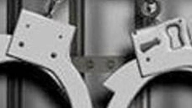 According to the police, the gang was active in Delhi-NCR and its members allegedly sold smaller consignments of 10 kilograms each to drug peddlers for potential sale to people. (HT Archives. Representative image) According to the police, the gang was active in Delhi-NCR and its members allegedly sold smaller consignments of 10 kilograms each to drug peddlers for potential sale to people. (HT Archives. Representative image)