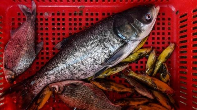 While the World Health Organization has said governments must ban the sale of exotic wildlife and enforce food safety regulations, it has not called for any wet markets to be closed. (Hector RETAMAL / AFP) 