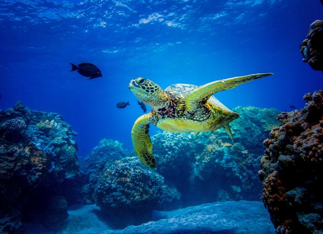 Photo: For representational purposes only (Photo: iStock) Photo: For representational purposes only (Photo: iStock)