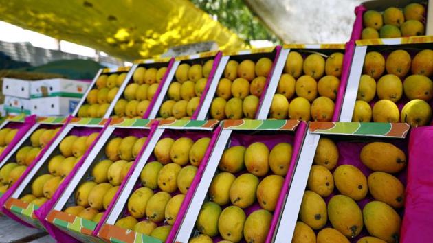 Bengal’s mango farmers were initially enthused by reports that the postal department was helping their counterparts in another state to deliver their yield to customers. (HT PHOTO.) Bengal’s mango farmers were initially enthused by reports that the postal department was helping their counterparts in another state to deliver their yield to customers. (HT PHOTO.)
