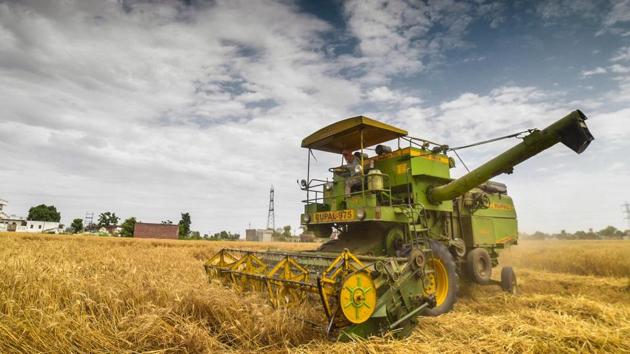 Wheat harvesting being carried out in Ludhiana on Friday. (Gurpreet Singh/HT) Wheat harvesting being carried out in Ludhiana on Friday. (Gurpreet Singh/HT)