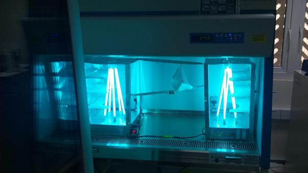 Indian Institute of Technology Jodhpur has developed an Advanced Photocatalytic Oxidation Sterilization System based on UV-light and metal oxide nanoparticles catalyst panels. (sourced) Indian Institute of Technology Jodhpur has developed an Advanced Photocatalytic Oxidation Sterilization System based on UV-light and metal oxide nanoparticles catalyst panels. (sourced)