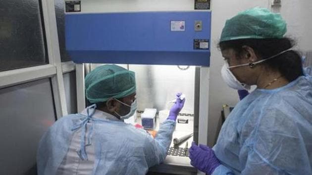 The more scientific and believable theories rest on the premise that links the virus to its zoonotic traces, connecting it to bats. (Pratham Gokhale/HT Photo) The more scientific and believable theories rest on the premise that links the virus to its zoonotic traces, connecting it to bats. (Pratham Gokhale/HT Photo)