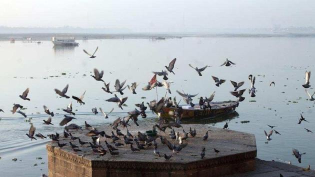 More than 80% of the pollution in the Ganga is contributed by domestic sewage from surrounding towns and villages and the rest by industrial effluents, according to the National Mission for Clean Ganga.(File photo)