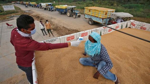 A health worker uses an infrared thermometer to check the temperature of a labourer sitting on wheat crop in a tractor trolley at an entry gate of a wholesale grain market, in Chandigarh. Punjab has also not announced any relaxation to lockdown conditions with the exception of wheat procurement in the state. (Ajay Verma / REUTERS) A health worker uses an infrared thermometer to check the temperature of a labourer sitting on wheat crop in a tractor trolley at an entry gate of a wholesale grain market, in Chandigarh. Punjab has also not announced any relaxation to lockdown conditions with the exception of wheat procurement in the state. (Ajay Verma / REUTERS)