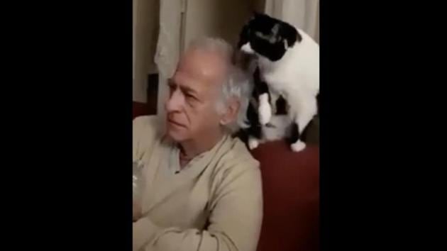 The cat tries to lick the person. (Reddit/@Dhanish04) The cat tries to lick the person. (Reddit/@Dhanish04)