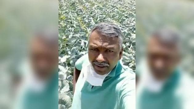 The 50-year-old vegetable farmer in Voddarahalli village in Karnataka’s Chamarajanagara district, located on the border with Tamil Nadu, said that he had nearly 100 tonnes of cabbage that was ready for harvest. (Photo: Twitter/ SuKannaiyan) The 50-year-old vegetable farmer in Voddarahalli village in Karnataka’s Chamarajanagara district, located on the border with Tamil Nadu, said that he had nearly 100 tonnes of cabbage that was ready for harvest. (Photo: Twitter/ SuKannaiyan)