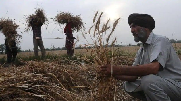 Since the lockdown has disrupted traditional farm-to-fork supply chains, the void created has enabled the government to quickly move in with reforms to keep supplies going.(Bharat Bhushan / Hindustan Times) Since the lockdown has disrupted traditional farm-to-fork supply chains, the void created has enabled the government to quickly move in with reforms to keep supplies going.(Bharat Bhushan / Hindustan Times)