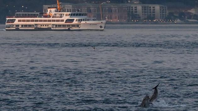 Two dolphins jump into the Bosphorus, experiencing low boat traffic in the natural strait in Istanbul, Turkey on April 19 during a weekend curfew to prevent the spread of COVID-19. (Ozan Kose / AFP)