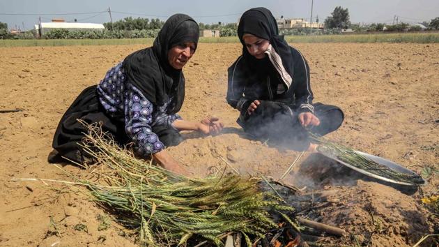 A Palestinian woman lightly roasts wheat harvested before maturity (freekeh) in Khan Yunis on April 22, before being prepared to be used in a soup during Ramzan. The congregational ‘iftar’ meal at dusk --a centrepiece of Ramzan-- will be observed as a cloistered affair among families and individuals this year. (Said Khatib / AFP) A Palestinian woman lightly roasts wheat harvested before maturity (freekeh) in Khan Yunis on April 22, before being prepared to be used in a soup during Ramzan. The congregational ‘iftar’ meal at dusk --a centrepiece of Ramzan-- will be observed as a cloistered affair among families and individuals this year. (Said Khatib / AFP)