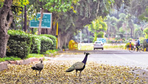 The lockdown has led to clean air and clear skies, highlighting how much vehicles contribute to air quality(PTI)