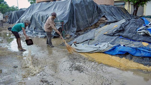Farm labourers remove water collected near weat grain sacks after a sudden shower and storm at a grain market in Patiala district. (PTI) Farm labourers remove water collected near weat grain sacks after a sudden shower and storm at a grain market in Patiala district. (PTI)