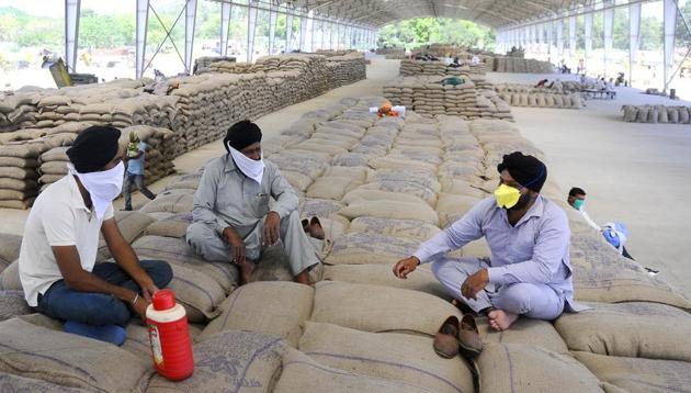 Farmers at the grain market in Sector 39, Chandigarh, during the procurement of their wheat on Friday.(Anil Dayal/HT photo)