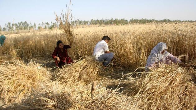 The SVAMITVA scheme will help in determining the ownership of lands and resolve tax disputes.(Representative Photo/ Manoj Dhaka, HT)