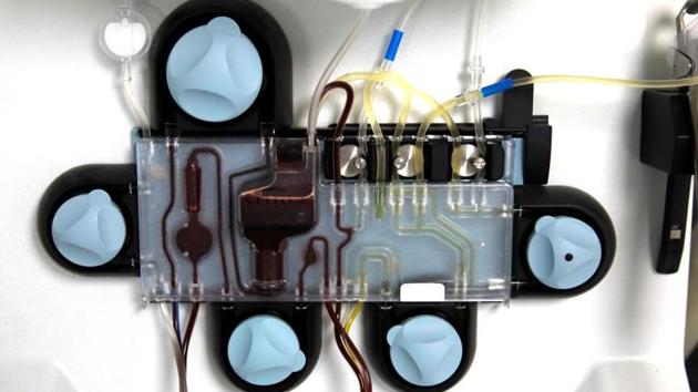 The state government has formed a team of doctors from the SMS Hospital to do a feasibility study on plasma therapy on critical patients.(Reuters photo. Representative image) The state government has formed a team of doctors from the SMS Hospital to do a feasibility study on plasma therapy on critical patients.(Reuters photo. Representative image)