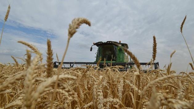 Russia, the world's leading wheat exporter, will suspend its exports of several varieties of cereals including wheat, until July 1, the Russian Ministry of Agriculture announced on April 26, 2020. (AFP File) Russia, the world's leading wheat exporter, will suspend its exports of several varieties of cereals including wheat, until July 1, the Russian Ministry of Agriculture announced on April 26, 2020. (AFP File)