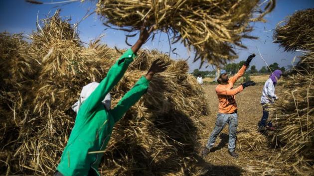 Chhattisgarh government said it boosted rural incomes of over 18 lakh households. (Bloomberg/Representational Photo) Chhattisgarh government said it boosted rural incomes of over 18 lakh households. (Bloomberg/Representational Photo)