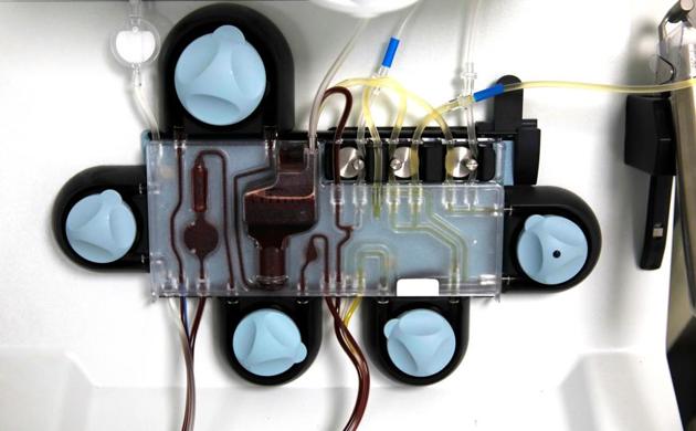 KGMU had applied to be made a nodal centre for plasma therapy in the state. (REUTERS)