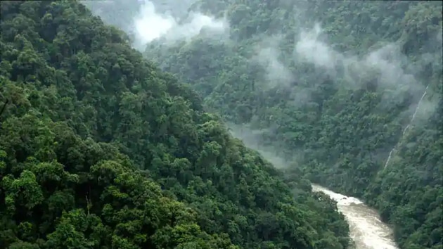 The National Board for Wildlife met once on April 7 but considered as many as 34 infrastructure, mining and commercial projects linked or inside wildlife sanctuaries and reserves.(Photo Courtesy: Chintan Sheth)