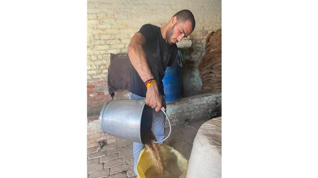 India’s youngest para-athlete Rinku Hooda (20) fills a gunny sack with wheat using a bucket. He won the bronze in javelin at the 2018 Para-Asian Games. “My duty is with the combine harvesting machine,” Hooda told HT. “We have already done mechanized harvesting in half of our land. Once the harvesting is over, I will also help in stocking the wheat in gunny sacks. There is hardly any farm labour in our village.” (HT Photo) India’s youngest para-athlete Rinku Hooda (20) fills a gunny sack with wheat using a bucket. He won the bronze in javelin at the 2018 Para-Asian Games. “My duty is with the combine harvesting machine,” Hooda told HT. “We have already done mechanized harvesting in half of our land. Once the harvesting is over, I will also help in stocking the wheat in gunny sacks. There is hardly any farm labour in our village.” (HT Photo)