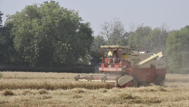 A combine harvester is seen at work in a wheat field, during lockdown, in Dhulsaras village, in New Delhi. As reported by the states, nearly 55-60% wheat crop has been harvested in Haryana so far after a delayed harvesting start this year amid the lockdown. (Vipin Kumar / HT Photo) A combine harvester is seen at work in a wheat field, during lockdown, in Dhulsaras village, in New Delhi. As reported by the states, nearly 55-60% wheat crop has been harvested in Haryana so far after a delayed harvesting start this year amid the lockdown. (Vipin Kumar / HT Photo)