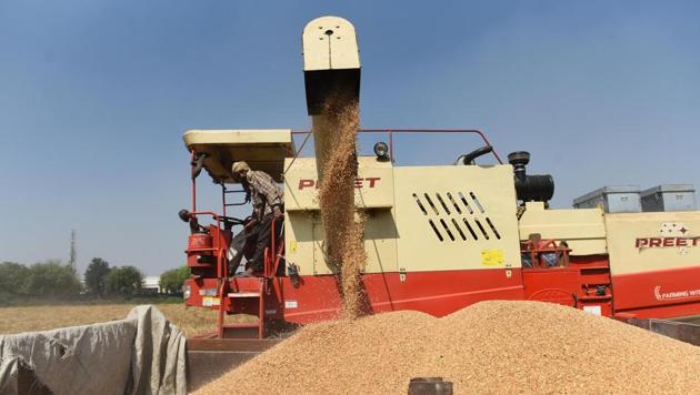 The government set the country’s wheat procurement target at 40.7 million tonnes for the 2020-21 marketing year (April-March). Haryana’s contribution to this is estimated to be around 9.5 million tonnes of the grains. (Vipin Kumar / HT Photo) The government set the country’s wheat procurement target at 40.7 million tonnes for the 2020-21 marketing year (April-March). Haryana’s contribution to this is estimated to be around 9.5 million tonnes of the grains. (Vipin Kumar / HT Photo)