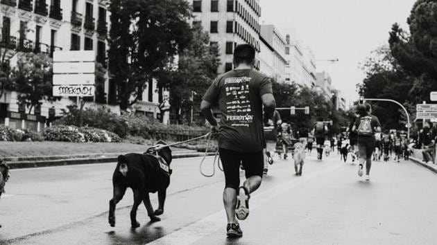 Madrid filled with joggers on Saturday, as Spaniards were allowed out of their homes to exercise for the first time in seven weeks. (Unsplash) Madrid filled with joggers on Saturday, as Spaniards were allowed out of their homes to exercise for the first time in seven weeks. (Unsplash)