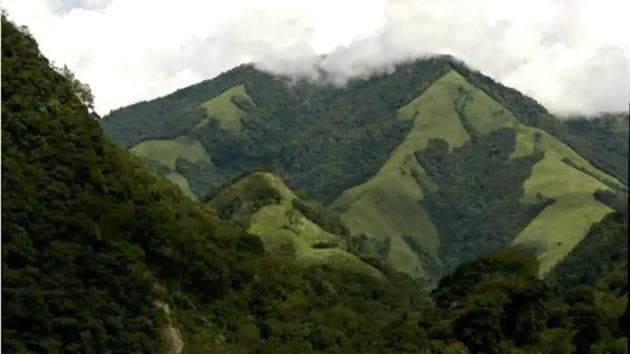 Dibang Valley is home to a genetically distinct population of tigers, over 75 species of other mammals, and 300+ species of birds, including many endangered ones, Conservation India said in its memorandum.(Photo: Chintan Sheth/ Sourced by HT)