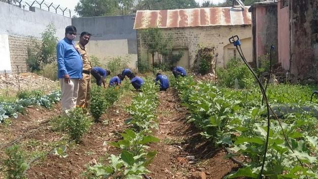 Children at the observation home in Yerawada working at the organic vegetable garden. (HT PHOTO) Children at the observation home in Yerawada working at the organic vegetable garden. (HT PHOTO)