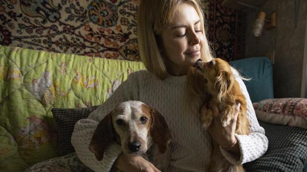 Anastasia Medvedeva pets Ratna, about 3 year old hunting dog (L) and Goldy about 6 year mixed toy terrier, prior to an online broadcast to show dogs and cats to try to match them with owners in Moscow. (Alexander Zemlianichenko / AP) Anastasia Medvedeva pets Ratna, about 3 year old hunting dog (L) and Goldy about 6 year mixed toy terrier, prior to an online broadcast to show dogs and cats to try to match them with owners in Moscow. (Alexander Zemlianichenko / AP)