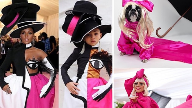 From humans to pooches, here are some of the best recreations.(INSTAGRAM) From humans to pooches, here are some of the best recreations.(INSTAGRAM)