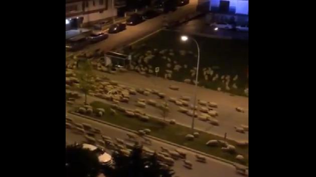 The 11-second-long clip shows the streets of a Turkish city Samsun. (Twitter/@ragipsoylu) The 11-second-long clip shows the streets of a Turkish city Samsun. (Twitter/@ragipsoylu)