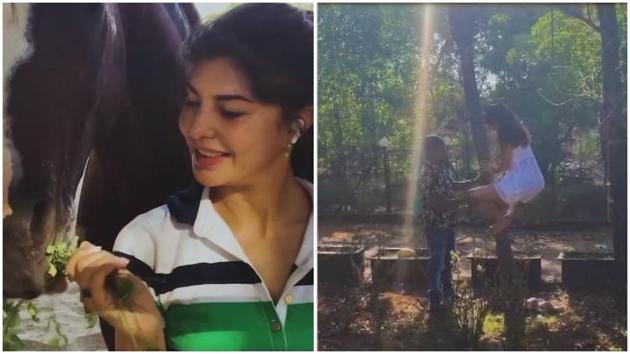 Jacqueline Fernandez Xnxx - Jacqueline Fernandez shares video of life in lockdown at Salman Khan's  farmhouse, watch her wash a horse, climb a tree | Bollywood - Hindustan  Times