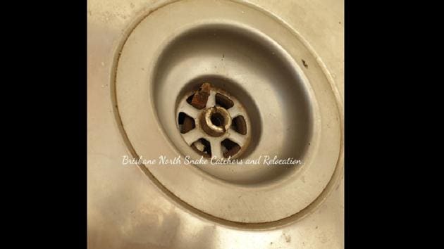 Seven Moon Kitchen Sink Drain | Plunger