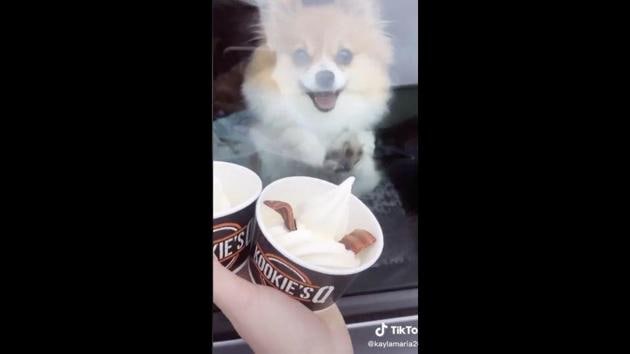 Athena’s reaction to ice cream is too cute. (TikTok/@kaylamaria265) Athena’s reaction to ice cream is too cute. (TikTok/@kaylamaria265)