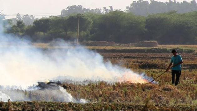 PAU V-C Baldev Singh Dhillon said people were already reeling under the Covid-19 pandemic and lockdown, setting fields on fire would compound the problem.(HT PHOTO REPRESENTATIVE IMAGE) PAU V-C Baldev Singh Dhillon said people were already reeling under the Covid-19 pandemic and lockdown, setting fields on fire would compound the problem.(HT PHOTO REPRESENTATIVE IMAGE)