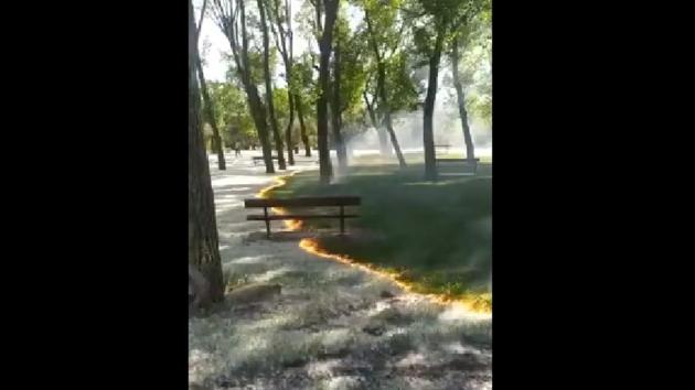 The video has sparked all sorts of reactions online. (Screengran) The video has sparked all sorts of reactions online. (Screengran)