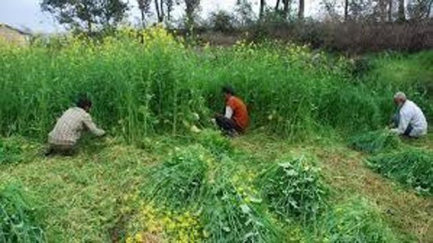 Representative image Representative image